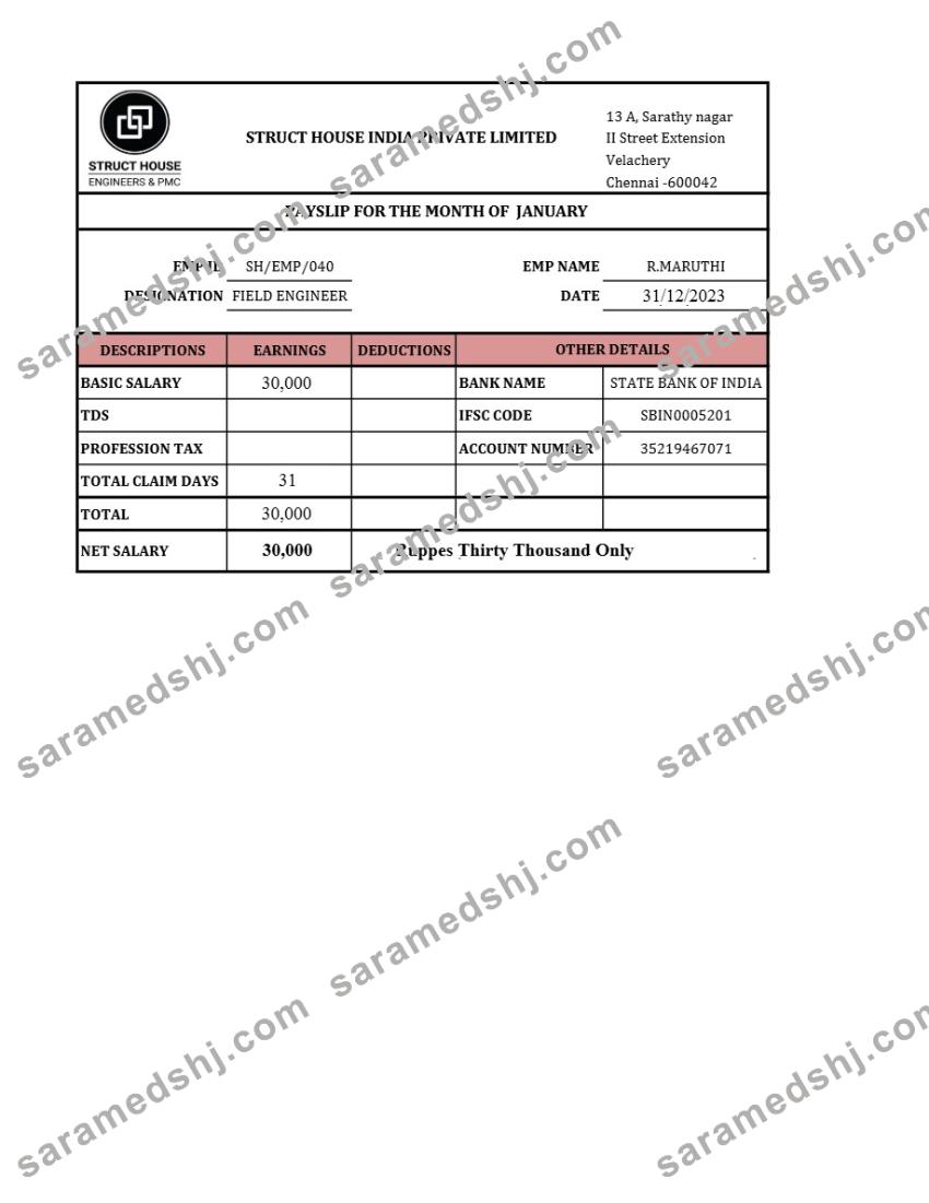 Struct House India payslip template in Word and PDF formats.pdf, 1